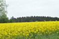 /album/galleria-fotografica/a2013-germania-dsc-0063-jpg/